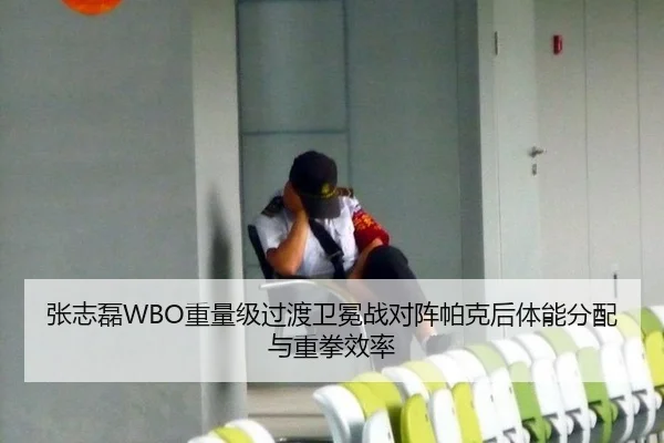 张志磊WBO重量级过渡卫冕战对阵帕克后体能分配与重拳效率